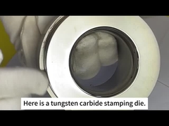 जूझोउ सैनक्सिन सीमेंट कार्बाइड - मोल्ड